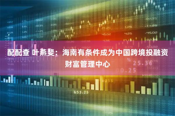 配配查 叶燕斐：海南有条件成为中国跨境投融资财富管理中心
